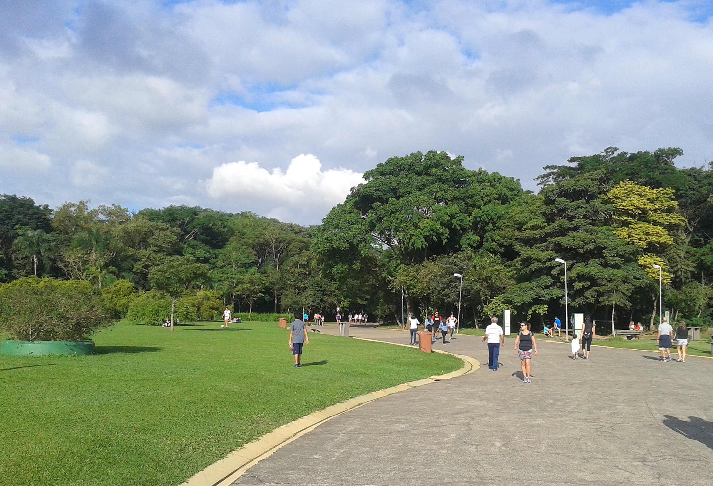 Pessoas caminhando e andando de bicicletas em caminho pavimentado e entre árvores, dentro de um parque
